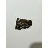 Sericho Meteorite, Stony Iron Pallasite Prehistoric Online