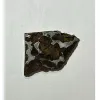 Sericho Meteorite, Stony Iron Pallasite Prehistoric Online