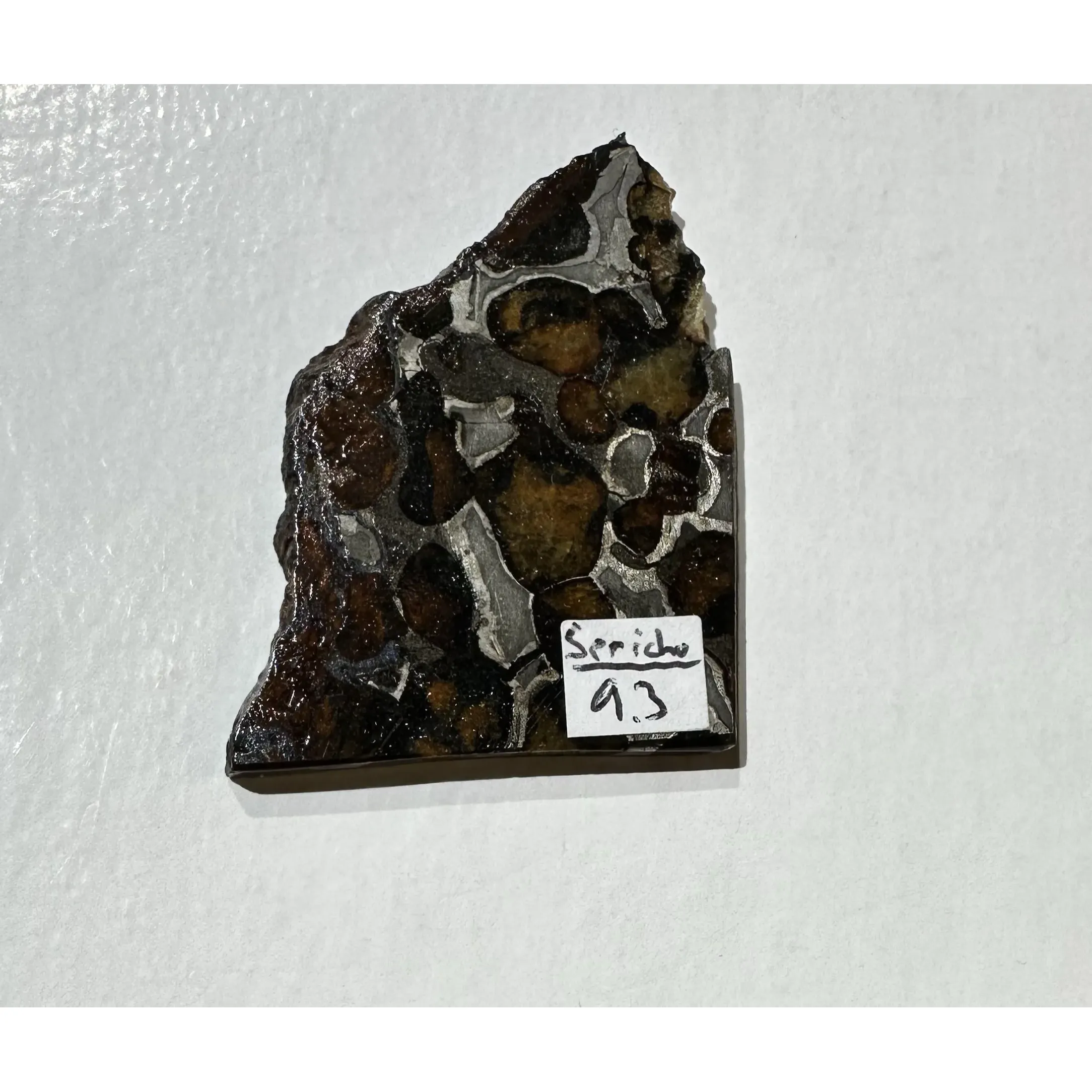 Sericho Meteorite, Stony Iron Pallasite Prehistoric Online