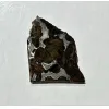 Sericho Meteorite, Stony Iron Pallasite Prehistoric Online