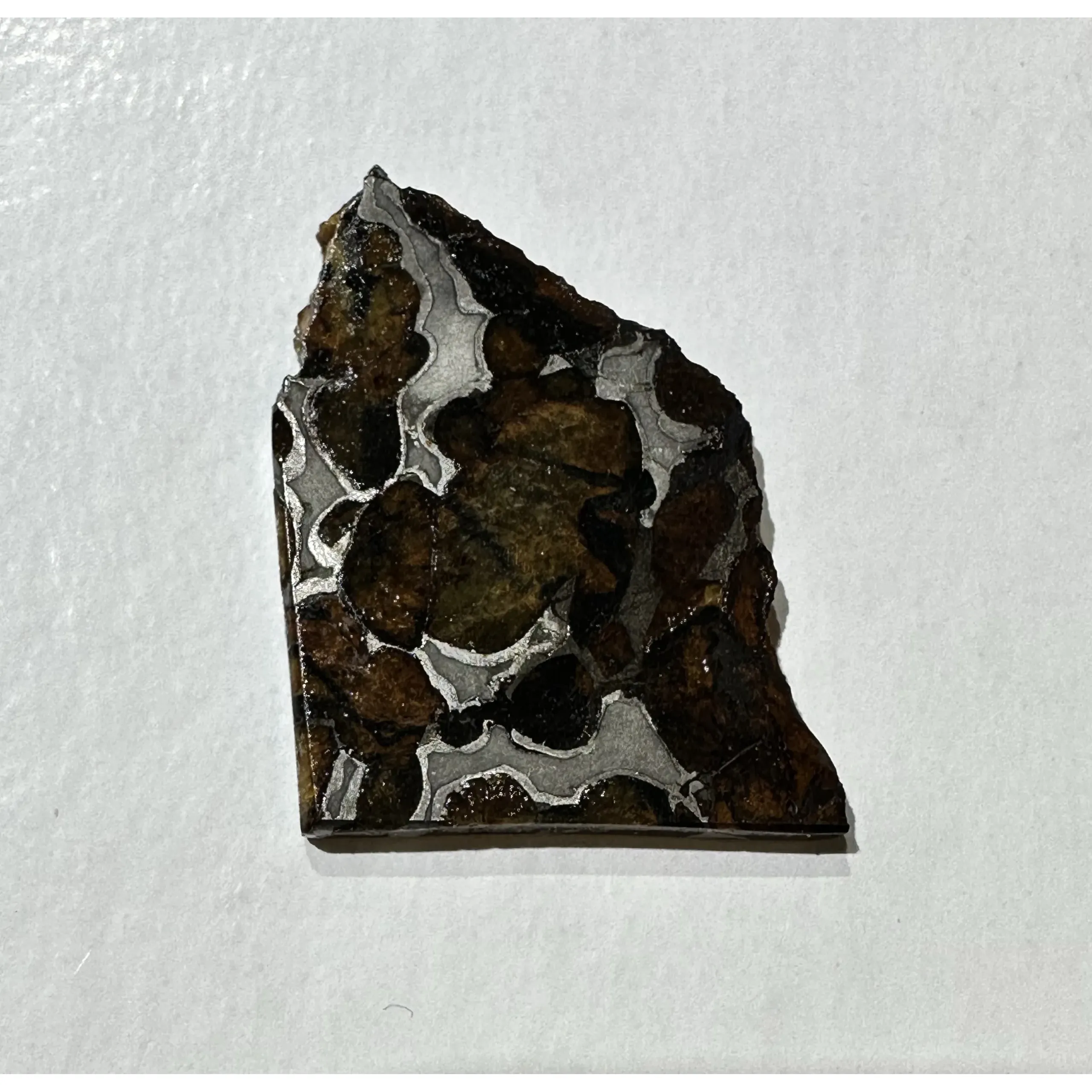 Sericho Meteorite, Stony Iron Pallasite Prehistoric Online