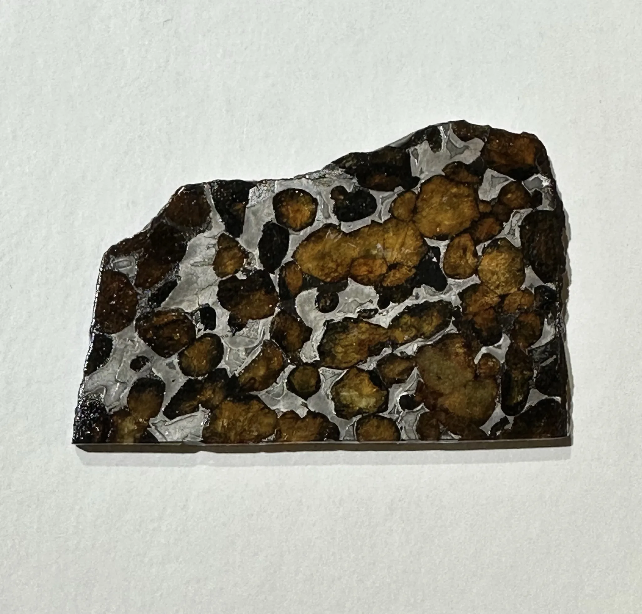 Sericho Meteorite from Africa Prehistoric Online