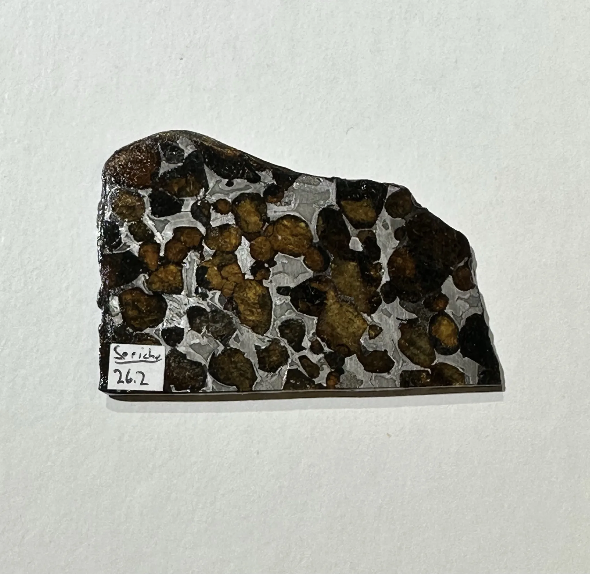 Sericho Meteorite from Africa Prehistoric Online