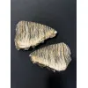 Woolly Mammoth Tooth sliced pair Prehistoric Online