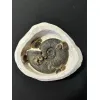 Ammonite display, multiple species Prehistoric Online