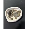 Ammonite display, multiple species Prehistoric Online