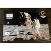 Apollo 11 relics, foil-metal-moon dust Prehistoric Online