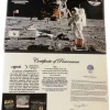 Apollo 11 relics, foil-metal-moon dust Prehistoric Online
