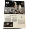 Apollo 11 relics, foil-metal-moon dust Prehistoric Online