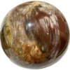 Petrified Wood Sphere, Madagascar, huge Prehistoric Online