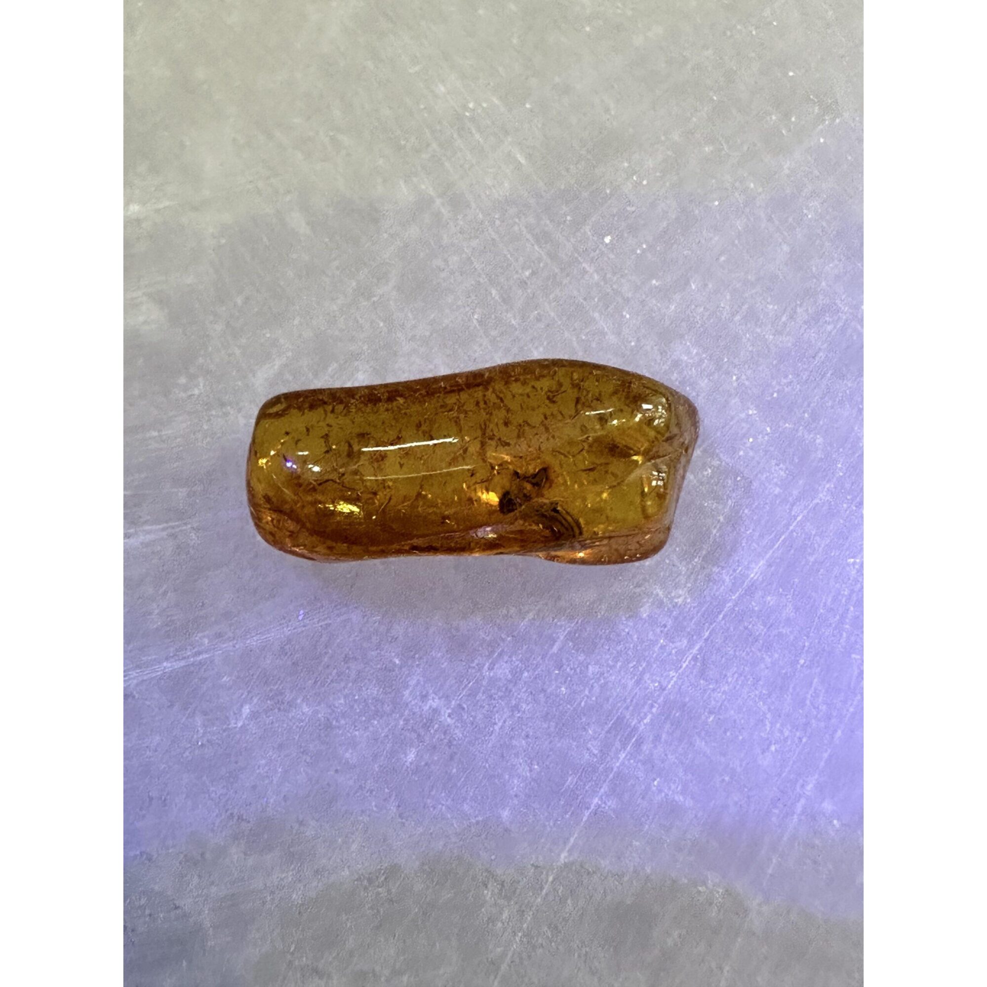 Amber with Bugs , Lithuania Prehistoric Online