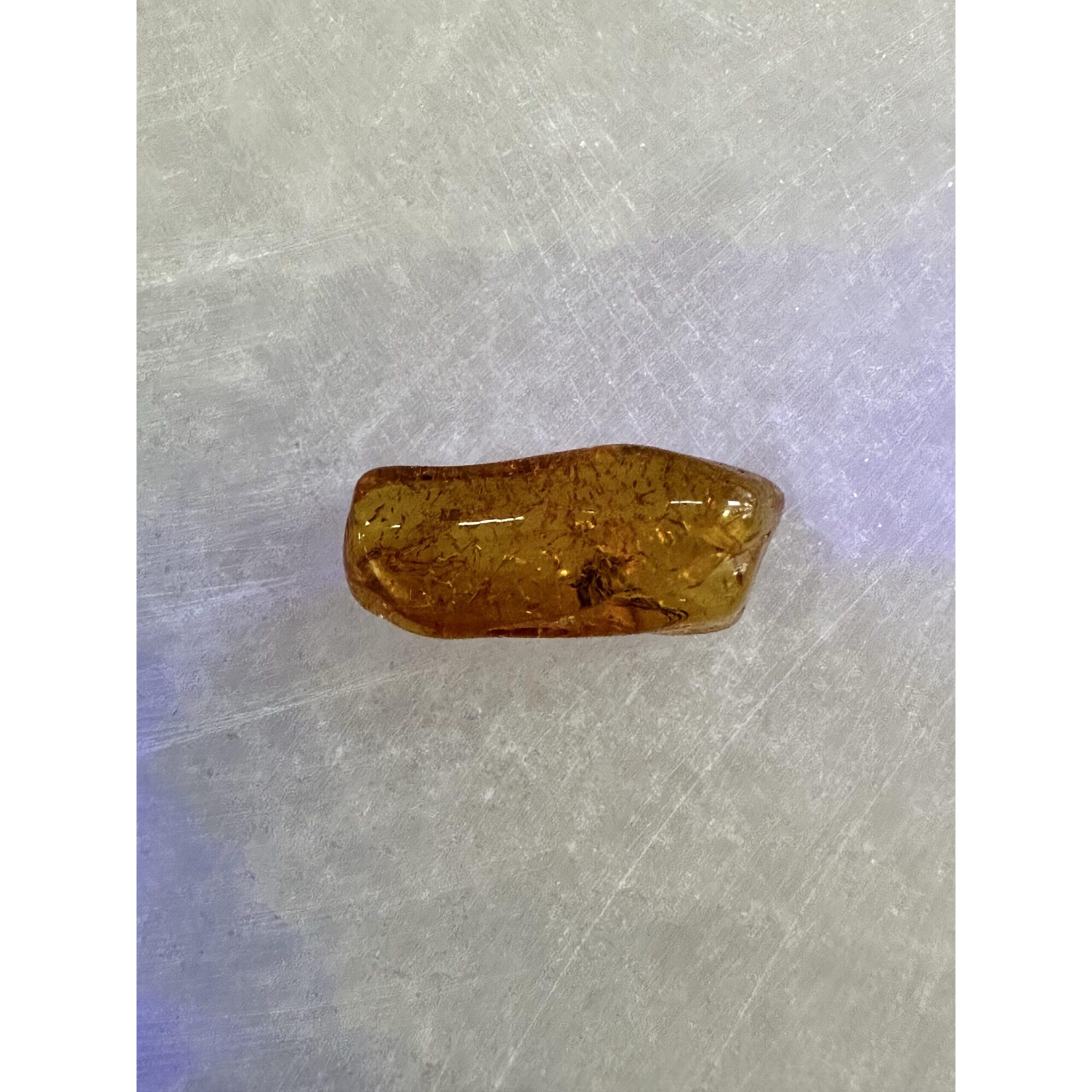 Amber with Bugs , Lithuania Prehistoric Online