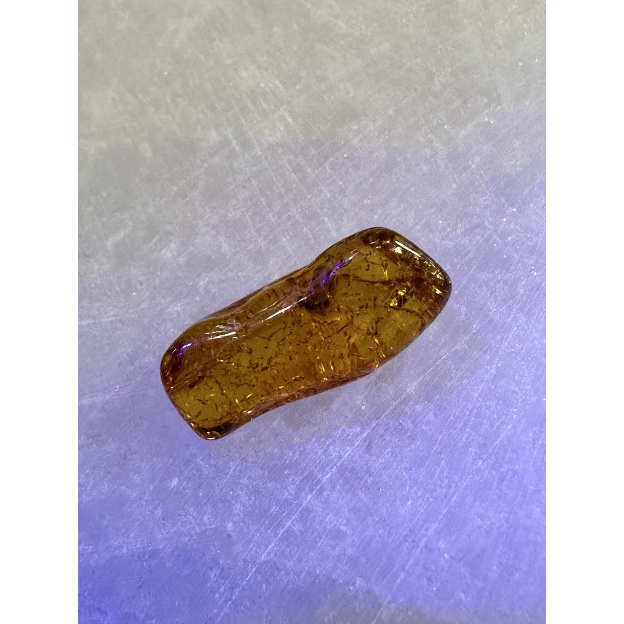 Amber with Bugs , Lithuania Prehistoric Online