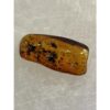 Amber with Bugs , Lithuania Prehistoric Online