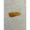 Amber with Bugs , Lithuania Prehistoric Online