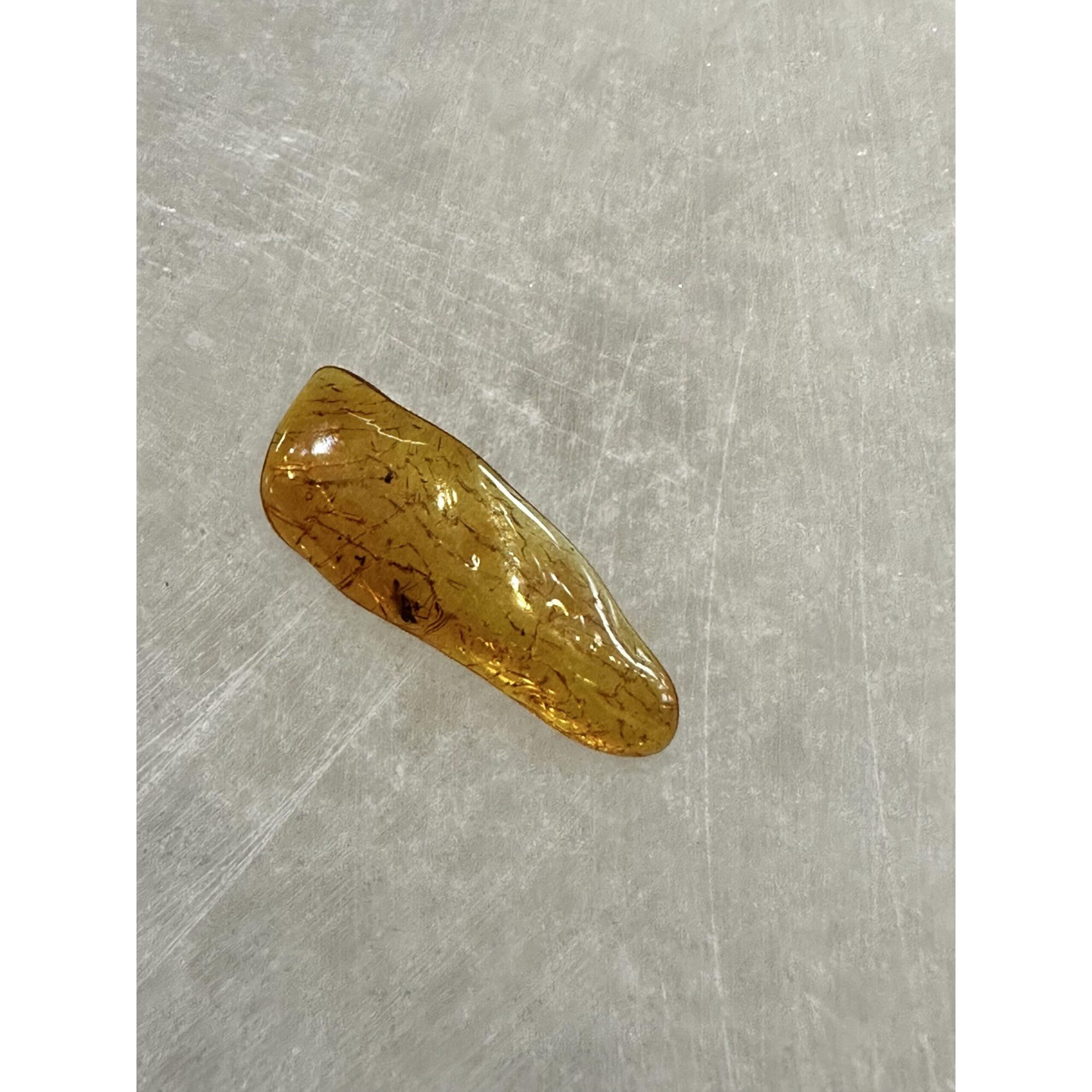 Amber with Bugs , Lithuania Prehistoric Online