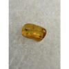 Amber with Bugs , Lithuania Prehistoric Online