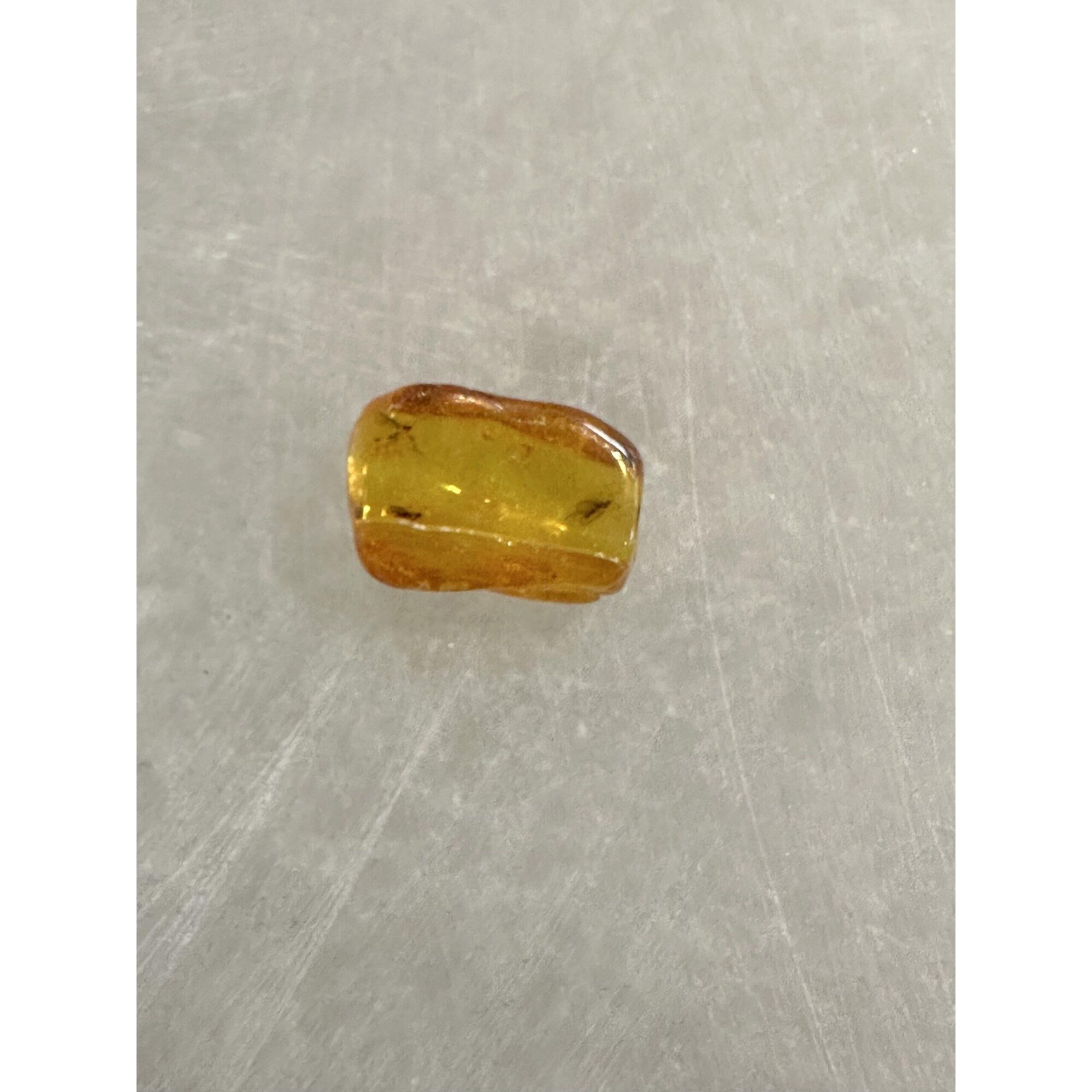 Amber with Bugs , Lithuania Prehistoric Online