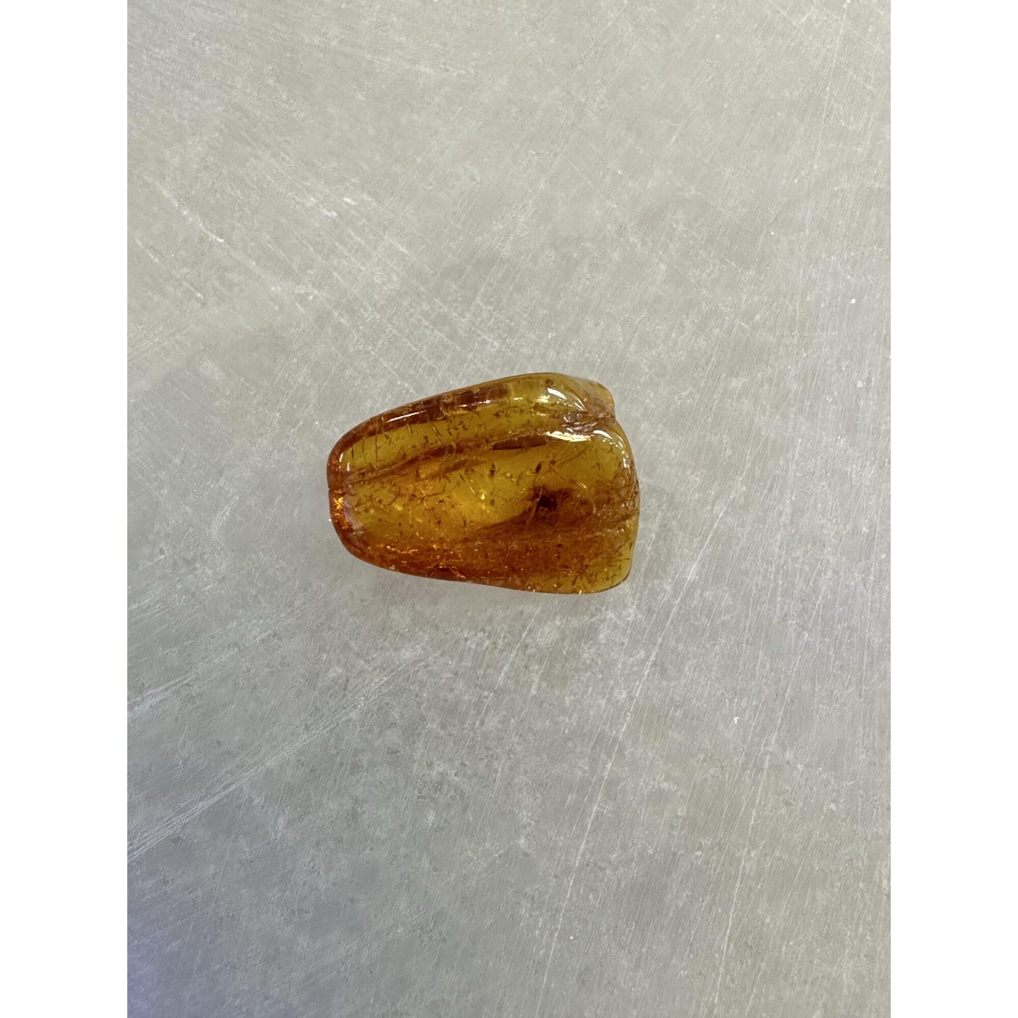 Amber with Bugs , Lithuania Prehistoric Online