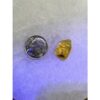 Amber with Bugs , Lithuania Prehistoric Online