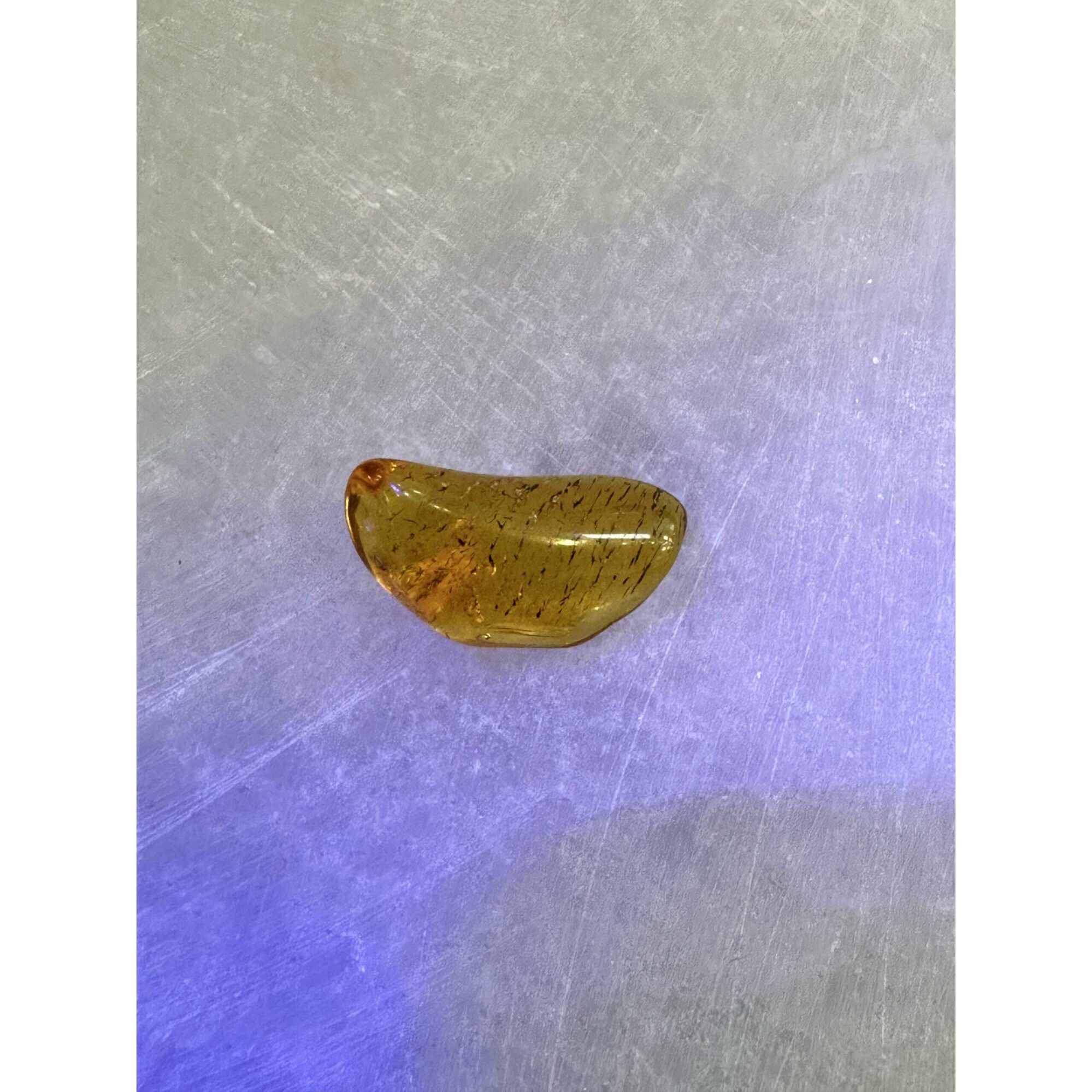 Amber with Bugs , Lithuania Prehistoric Online