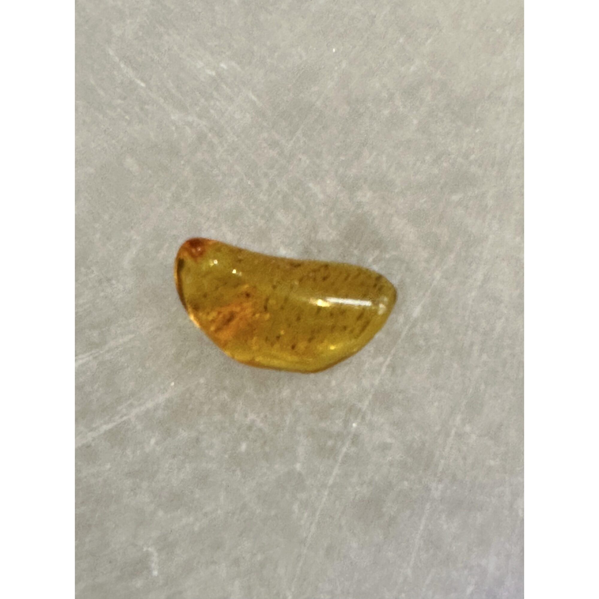 Amber with Bugs , Lithuania Prehistoric Online