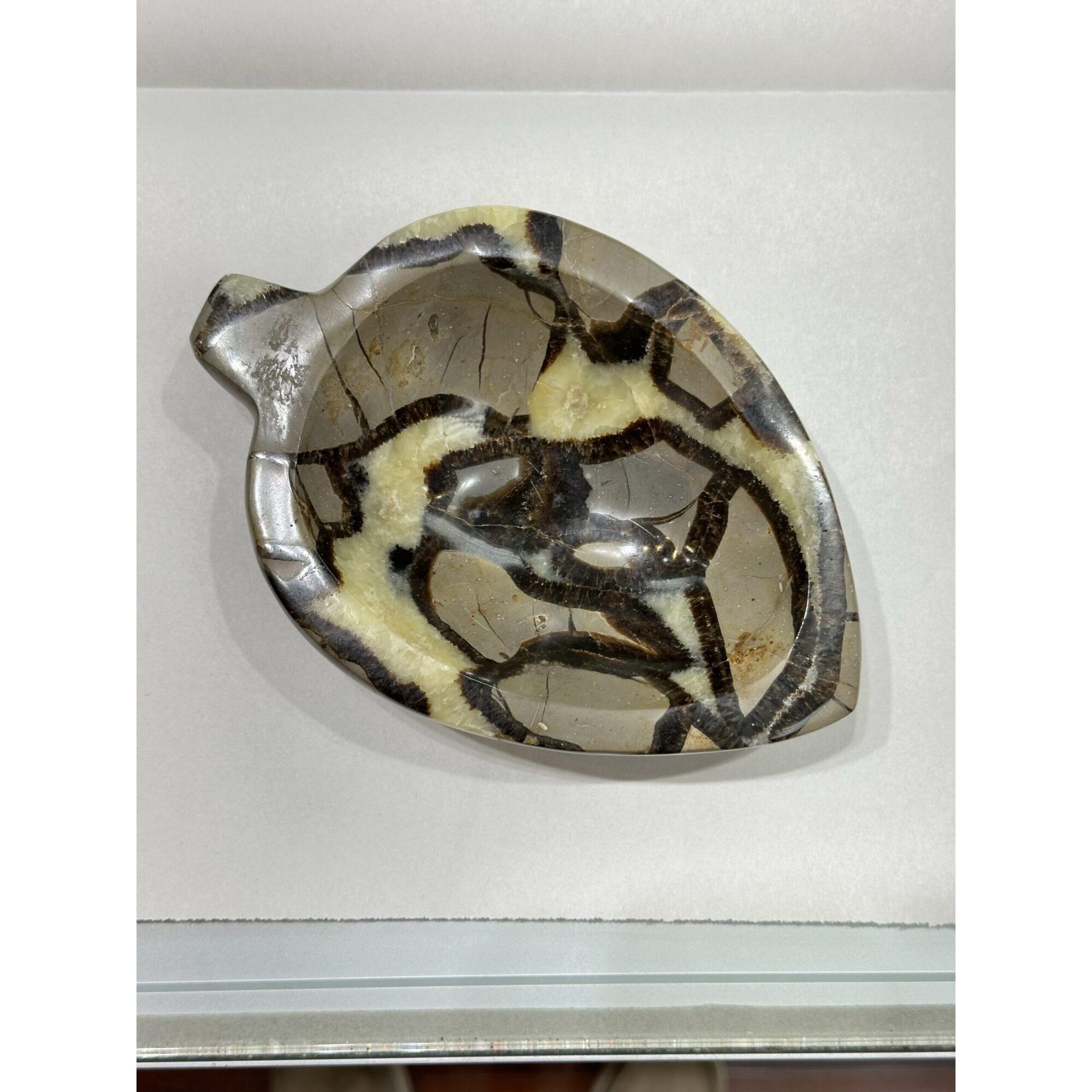 Septarian Carved leaf Bowl – Utah Prehistoric Online