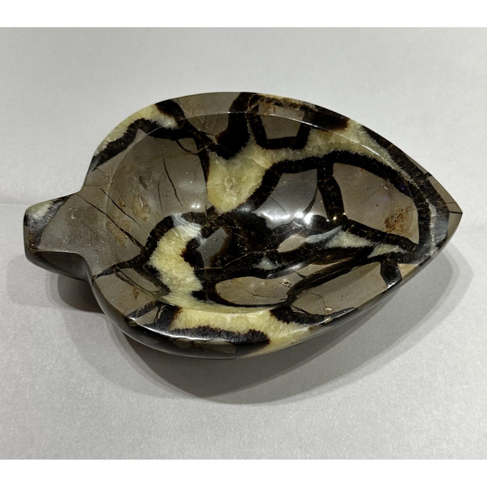 Septarian Carved leaf Bowl – Utah Prehistoric Online