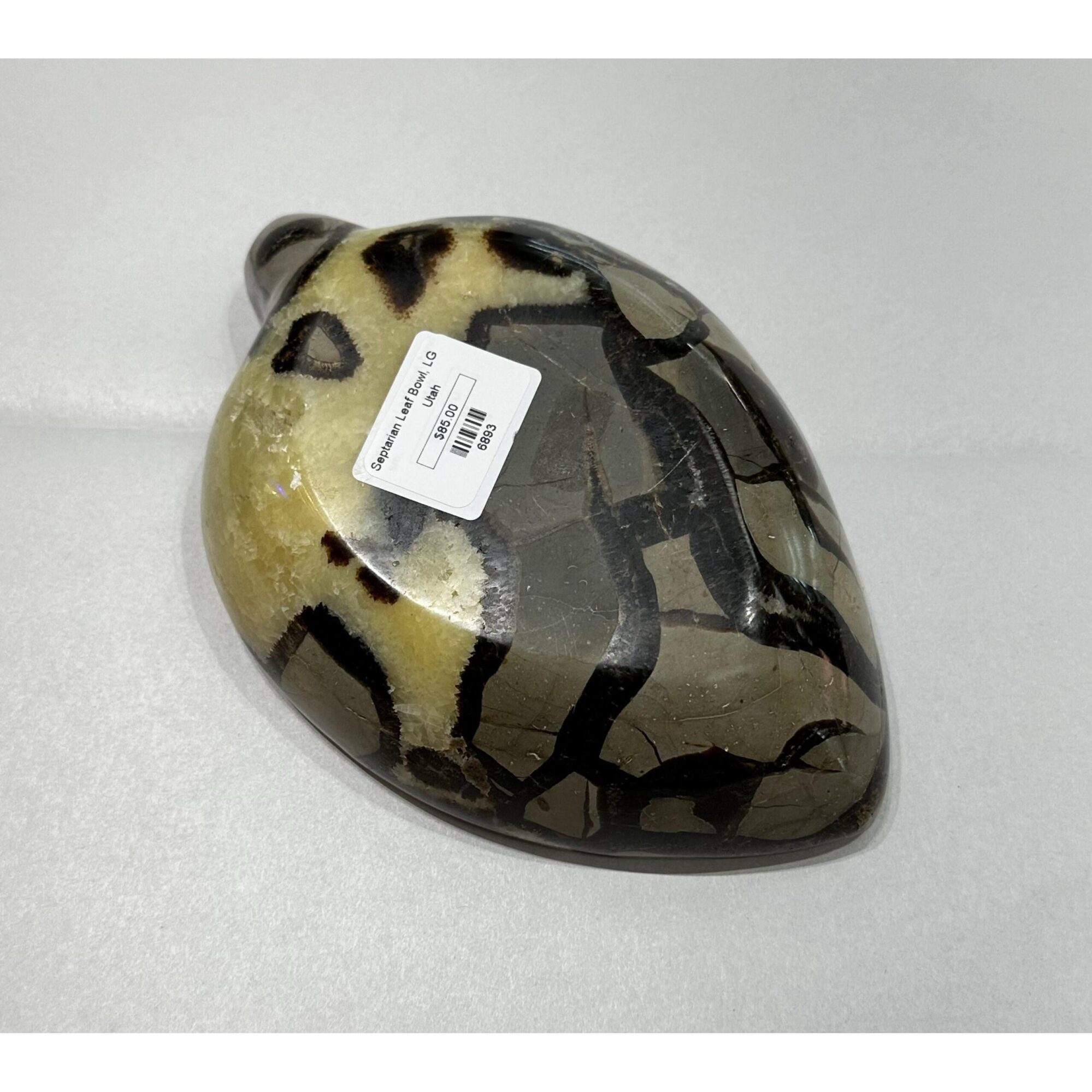 Septarian Carved leaf Bowl – Utah Prehistoric Online