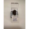 Smokey Quartz thumbnail mineral Prehistoric Online