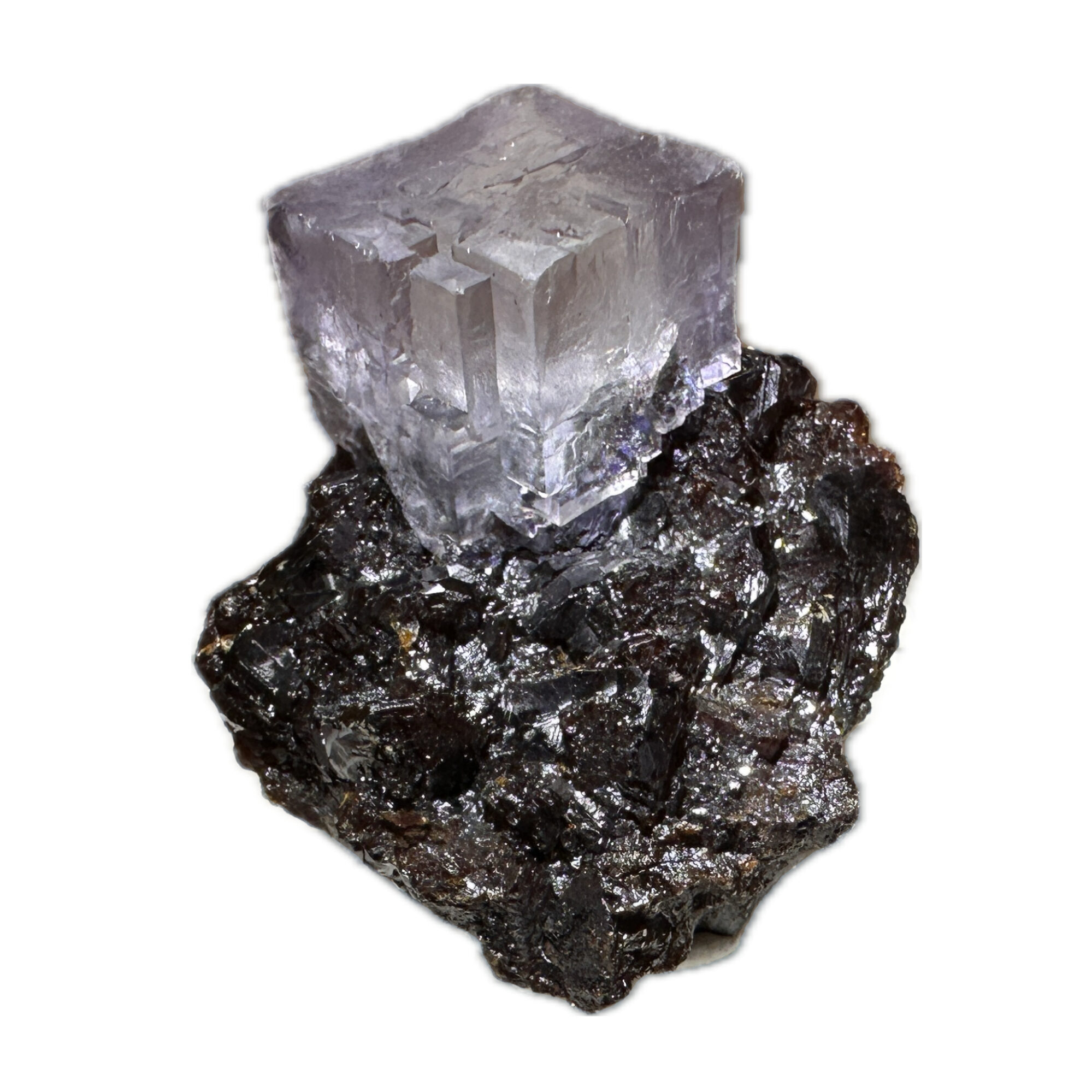 Fluorite thumbnail on Sphalerite Prehistoric Online