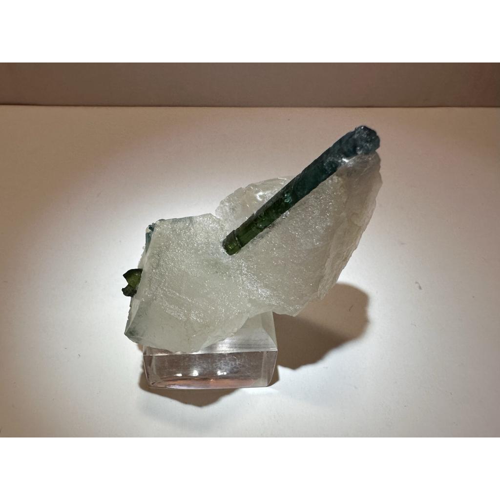 Green Tourmaline in quartz, Brazil Prehistoric Online