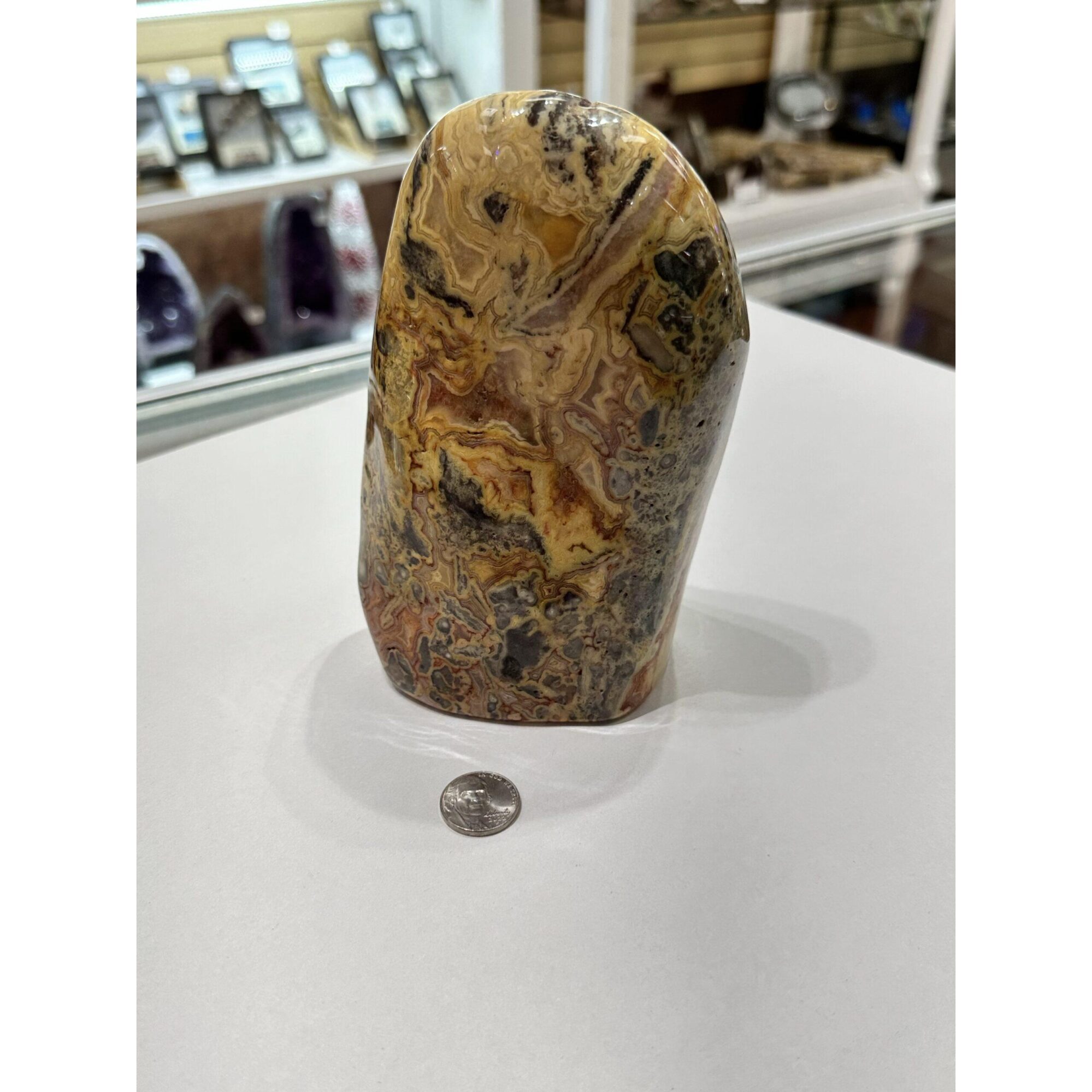 Crazy Lace Agate Stand up, Mexico Prehistoric Online