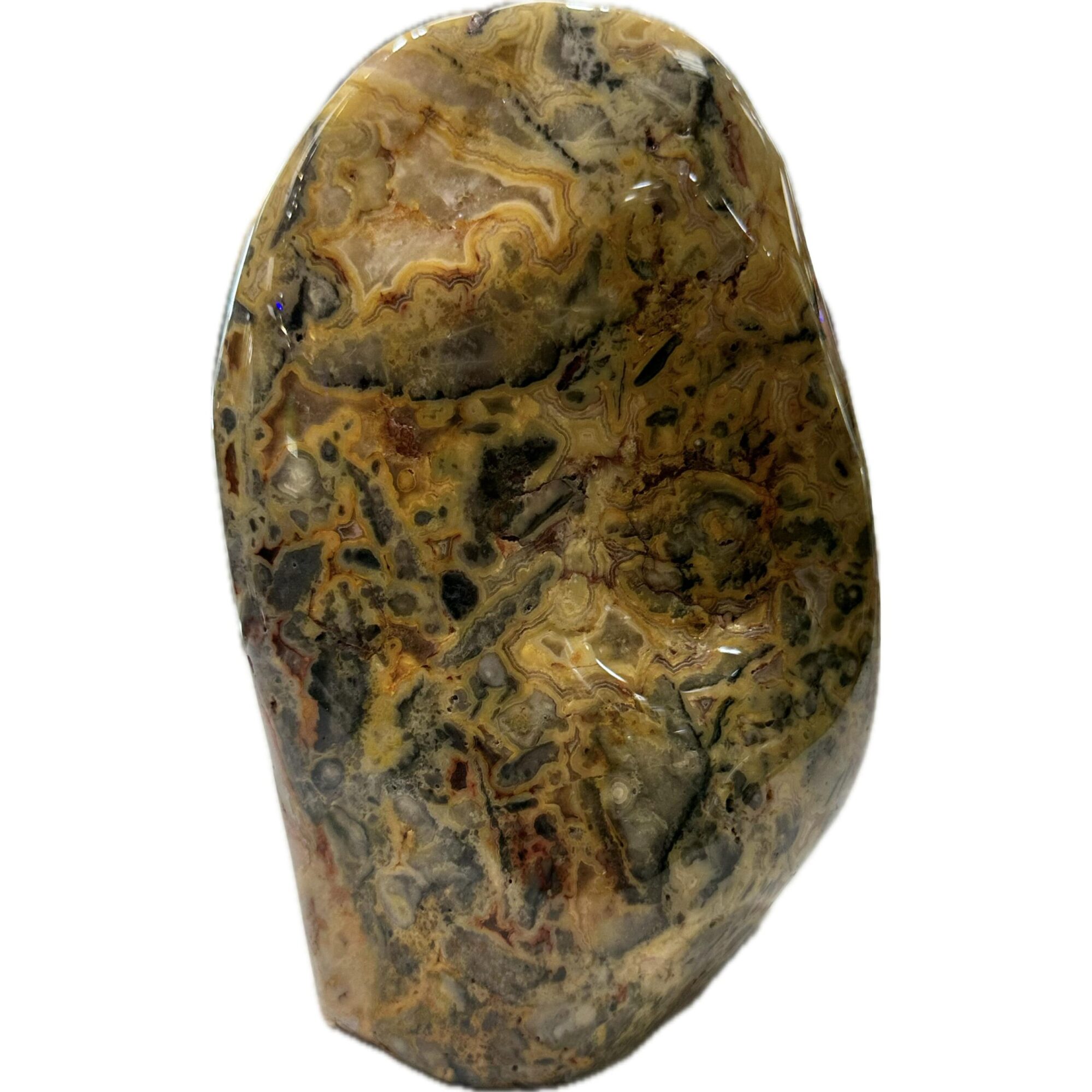 Crazy Lace Agate Stand up, Mexico Prehistoric Online