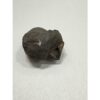 Mastodon Metatarsal bone, Florida Prehistoric Online