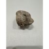 Mastodon bone, ice age fossil Prehistoric Online