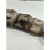 Mosasaurus vertebra column Prehistoric Online