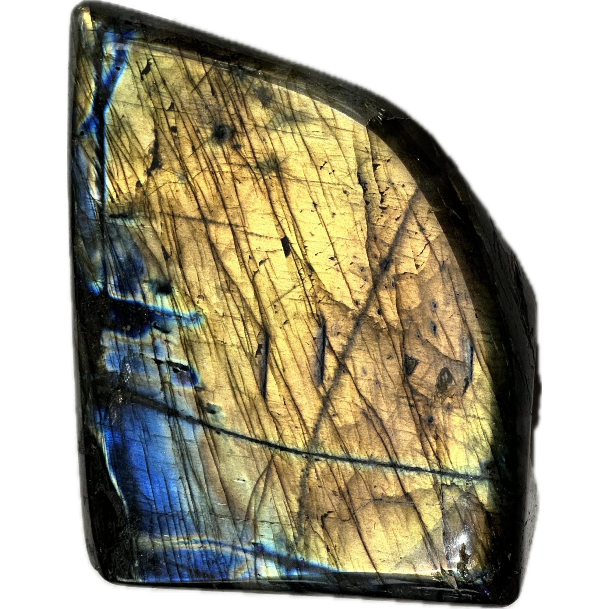 Labradorite Stand up,  Madagascar, gorgeous orange and yellows Prehistoric Online