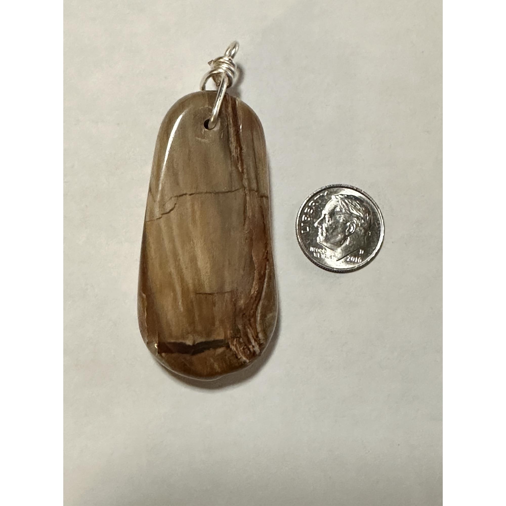 Petrified wood pendant, 2 inches long Prehistoric Online
