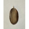 Petrified wood pendant, Oregon Prehistoric Online