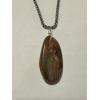 Petrified wood pendant, hand polished Prehistoric Online
