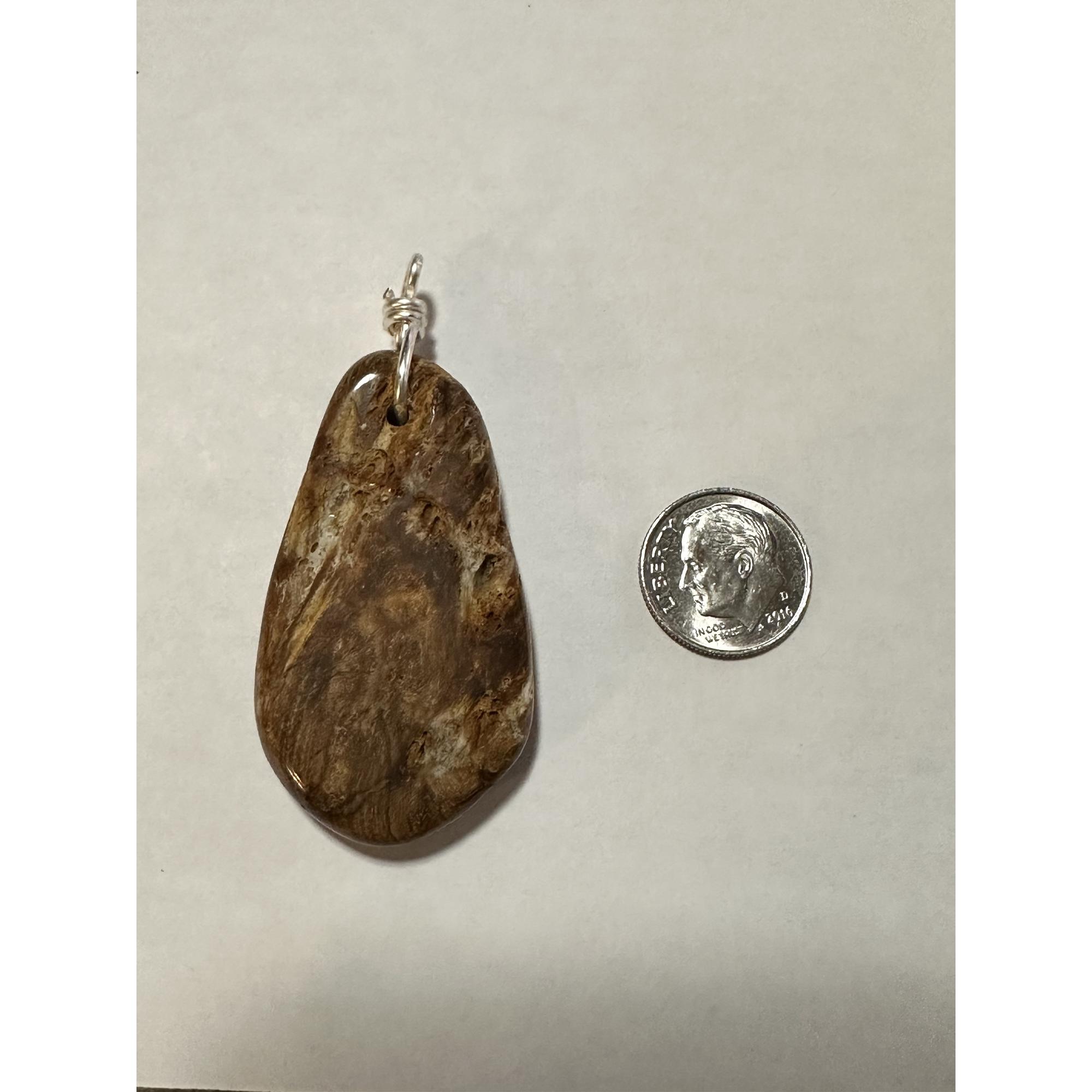 Petrified wood pendant, hand wrapped bail Prehistoric Online