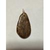 Petrified wood pendant, hand wrapped bail Prehistoric Online