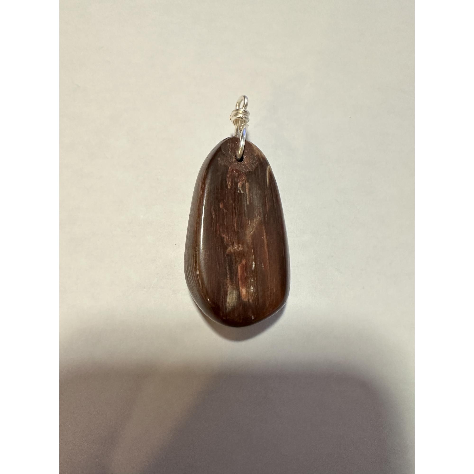 Petrified wood pendant,  rich color Prehistoric Online