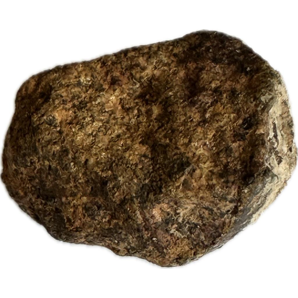 Meteorite, NWA 4841, Chondrite LL5 Prehistoric Online