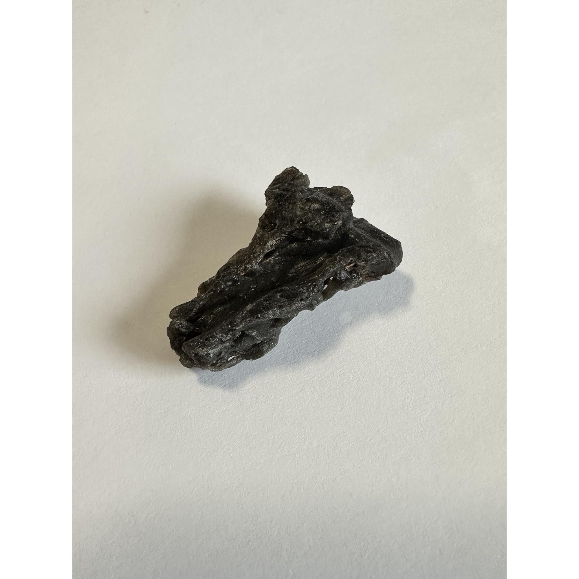 Darwin Glass, 2.87 grams tektite Prehistoric Online