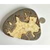 Septarian Slice, Utah,  calcite Prehistoric Online