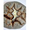Septarian Slice, Utah, Aragonite Prehistoric Online