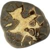 Septarian Slice, Utah, Giraffe markings Prehistoric Online