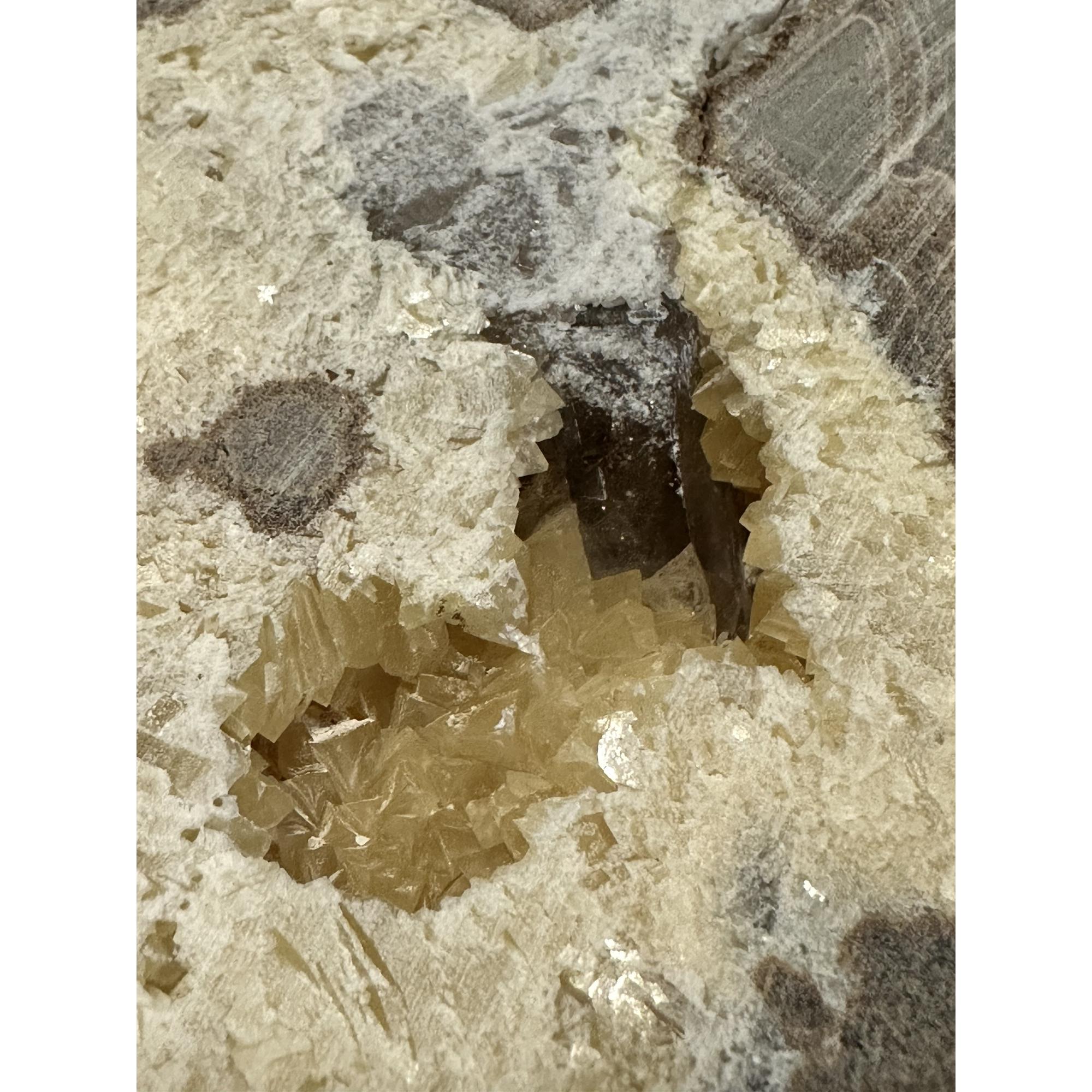 Septarian Slice, Utah, Calcite center Prehistoric Online
